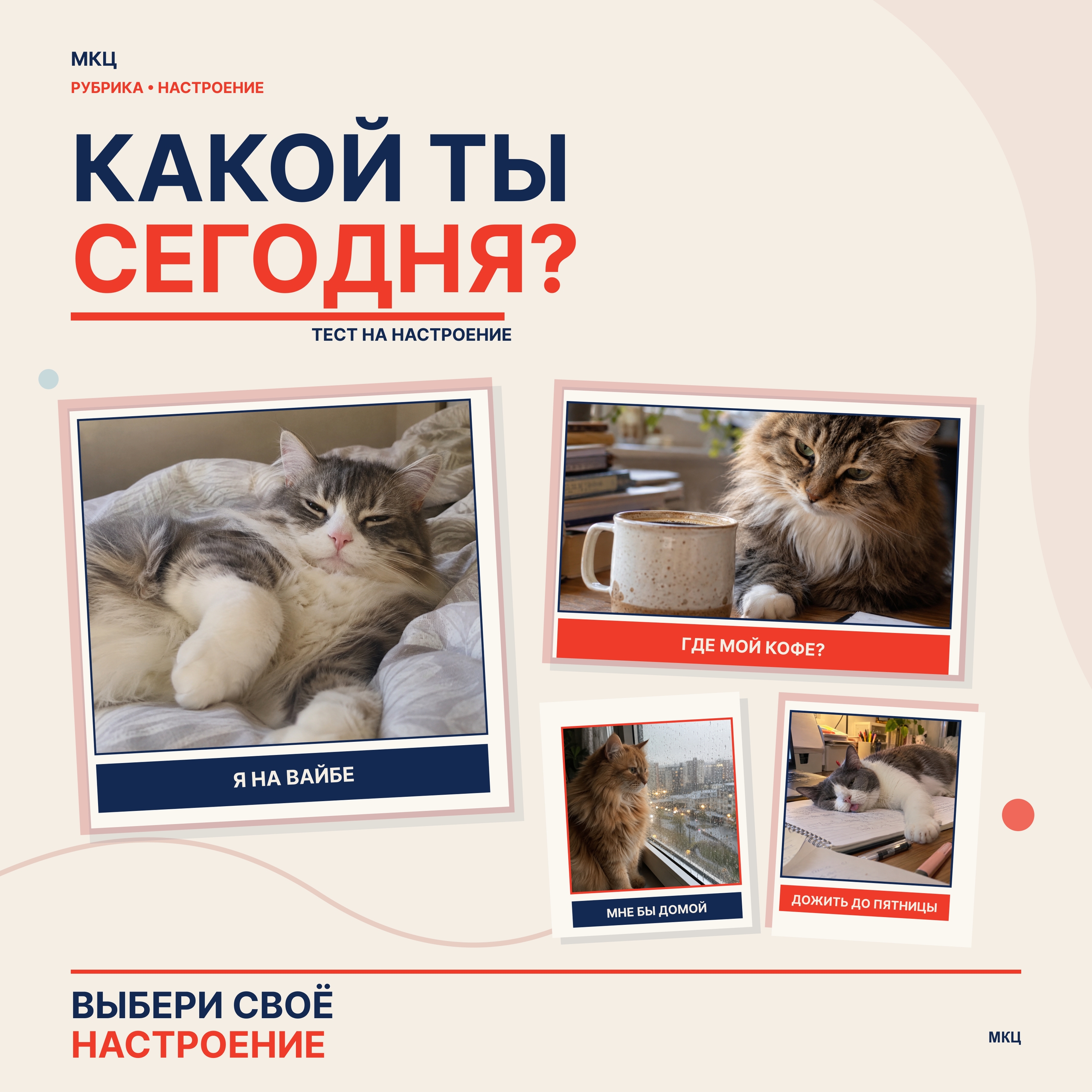Запускаем новую рубрику МКЦ — «Настроение»!