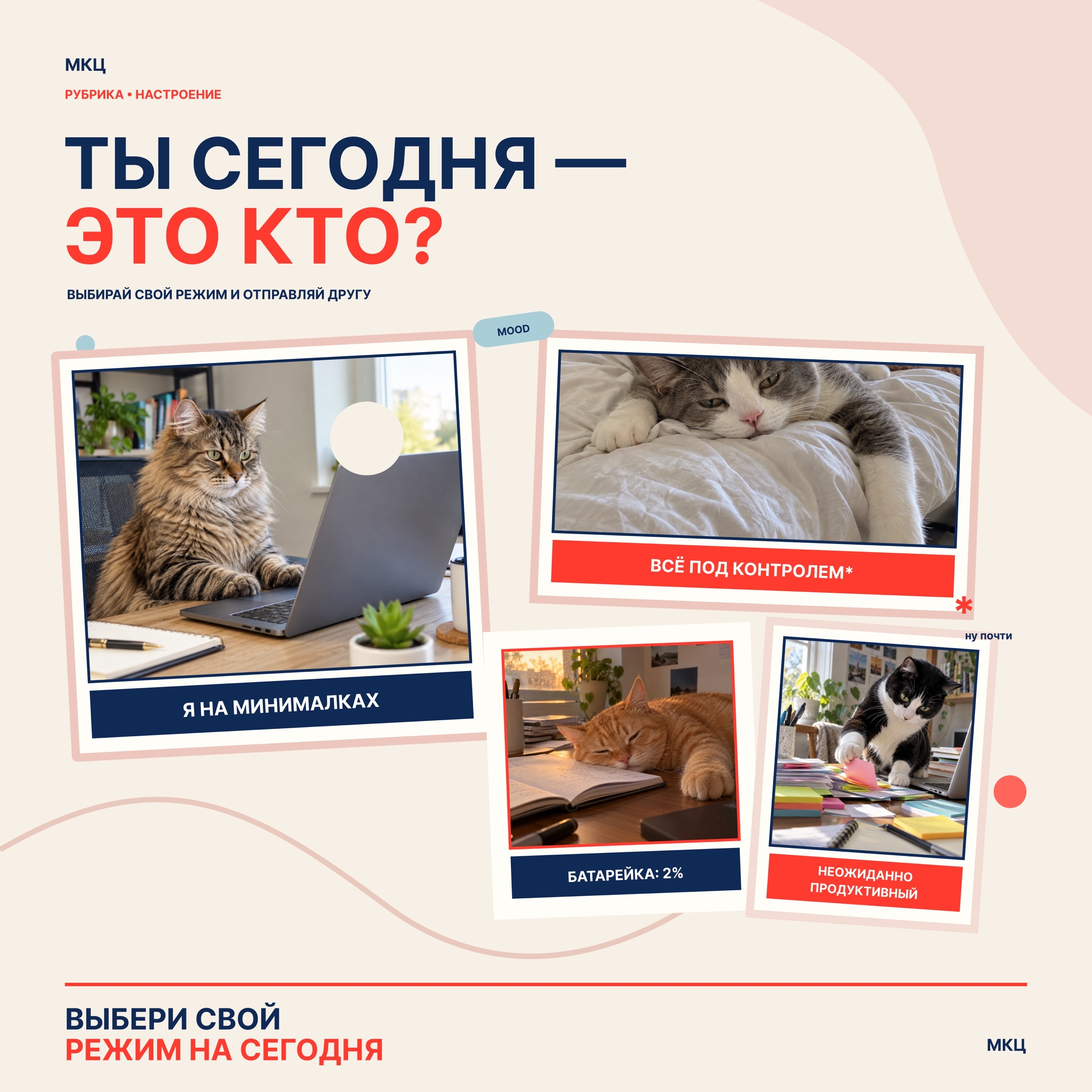 Котики, мы снова к вам с любимой рубрикой «Настроение» 🐾